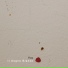 Flos feat. Stefano Castagna, Luca Formentini