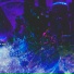 LXSTPLVYER