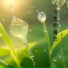 吴亚林