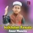 Ameer Muawiya