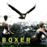 BOXER