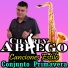 Charly Abrego