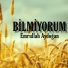 Emrullah Aydoğan