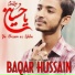 Baqar Hussain