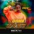 Dwiz Playboy