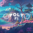 Poly Fi