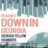Georgia Yellow Hammers