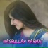 Nasrullah Marwat