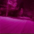 neonlow