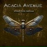 Acacia Avenue