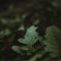 Rainfall, Internal Yoga, Deep Sleep Relaxation
