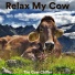 The Cow Chiller