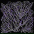 Demiurge Machine