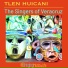 Tlen Huicani