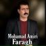 Mohamad Amiri