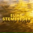 Elias Stemeseder