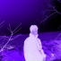 sh33x