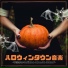 ハロウィンアンビエント