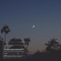 BESTVINE