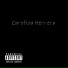 Celostw, Dukke Beats, TrickZ