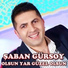 Şaban Gürsoy