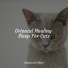 Jazz Music for Cats, Cat Music Therapy, RelaxMyCat