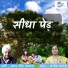Archana Pathak