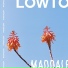 Lowtopic