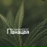 КОМАНДОС