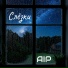 AIP