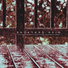 The Noisy Outdoors