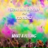Collini Geo Da Silva & Locodj feat. Fizo Faouez