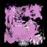 XENOPHEX