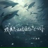 卡迪哥