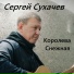 Сергей Сухачев