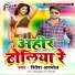 Ritesh Anmol