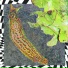 Helfry