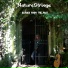 NatureStrings
