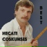 Necati Coşkunses