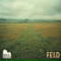 Fieldt