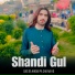 Shandi Gul