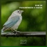 Sons da Natureza Projeto ECO Brasil