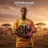AFROnomads