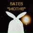 SaTes