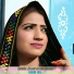 Habib Jan