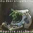 My dear singularity