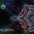 Quanta