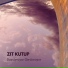 Zıt Kutup