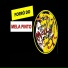FORRÓ DO MELLA PINTO