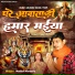 Mukesh Pardesia